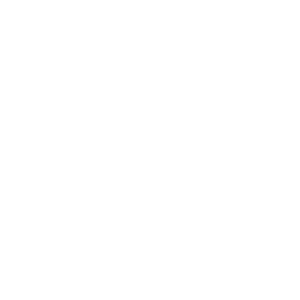 MERN Stack